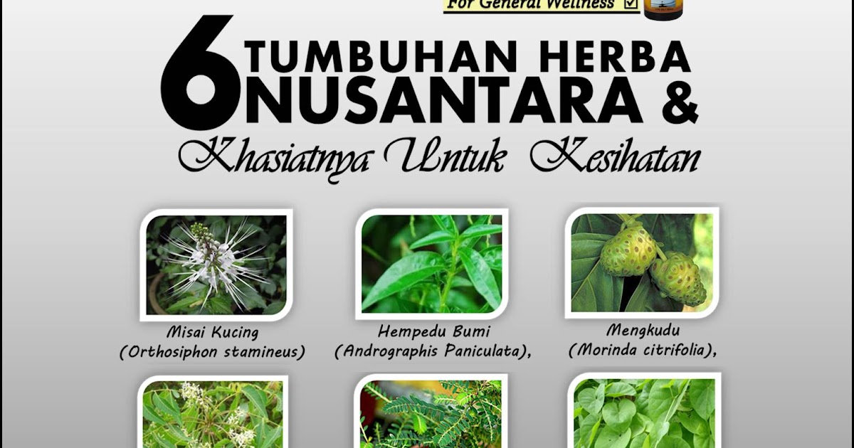 AzBudi Pusat Pakar Perubatan Homeopati & Naturopati 