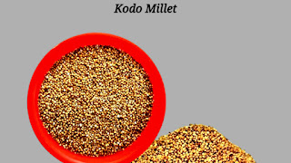 Kodo Millet