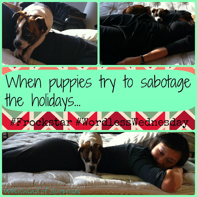 #JackRussell sabotages the hoildays