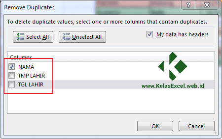 Cara Menghapus Data Ganda Pada Excel 5