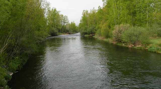 El río Porma, Camino de Santiago