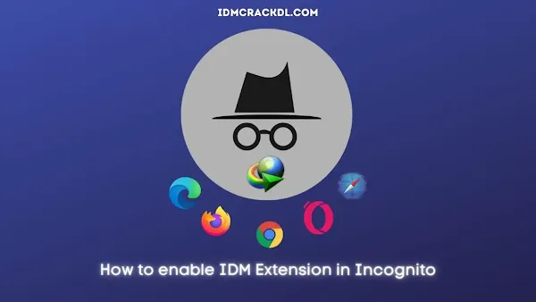 How to enable IDM Extension in Incognito