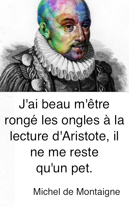 http://fr.wikipedia.org/wiki/Michel_de_Montaigne