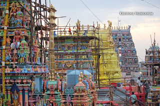 Sri TheliyaSingar , Sri Gajendra Varadhar, Samrokshanam, 2016, Video, Divya Prabhandam,Sri Parthasarathy Perumal, Triplicane,Thiruvallikeni,Utsavam,