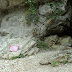 Λυχνοσπηλιά: Εξερευνώντας ένα από τα σημαντικότερα σπήλαια της Πάρνηθας