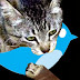 Twitter: Patent Infringement and Genericide in 140 Characters