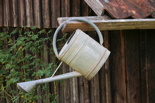 Watering Can