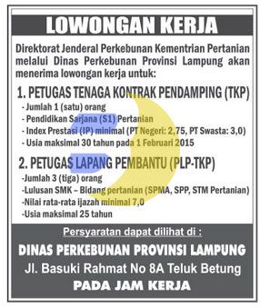 Recruitment Dinas Perkebunan Provinsi Lampung