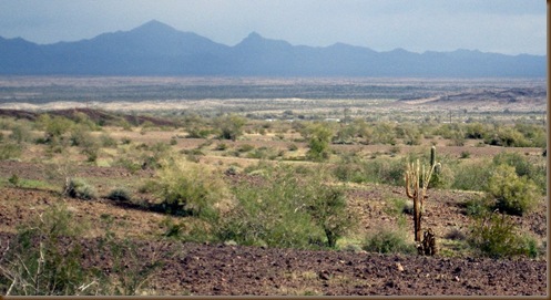 Distant view