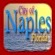 http://naples.granicus.com/MediaPlayer.php?publish_id=3