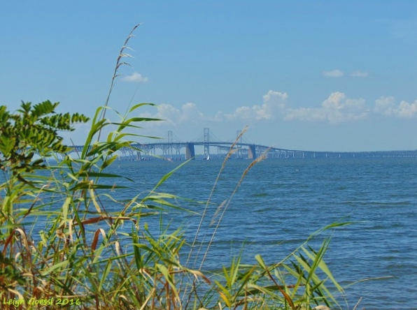 Bay Bridge in Maryland