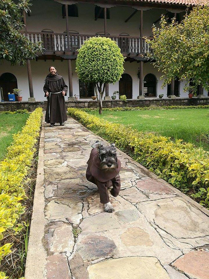 A Stray Dog Became A Monk In The Funniest And Sweetest Way