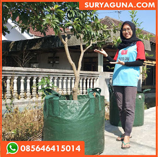 planter bag 100 liter murah dari suryaguna 085646415014