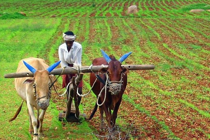 Indian agriculture during British rule