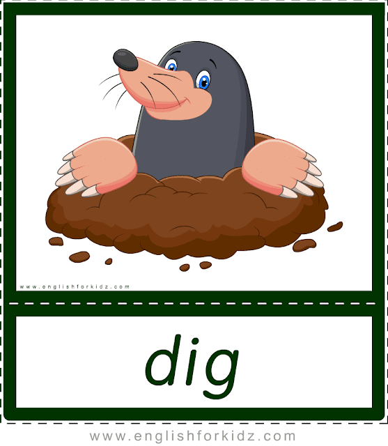 Verb dig (mole digging a hole) - printable animal actions flashcards for English learners