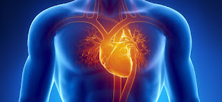 10 Early Signs of Heart Disease Affected