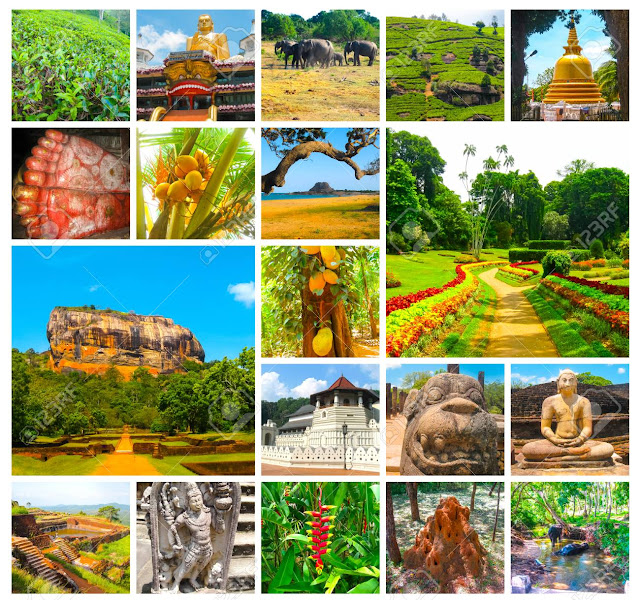 Sri Lanka holiday packages