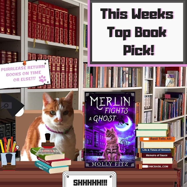 Book Reviews with Amber at The Mewton-Clawson Library #228 Merlin Fights a Ghost by Molly Fitz