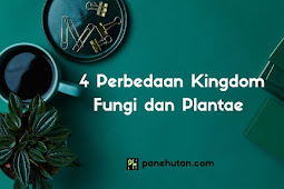  4 Perbedaan Kingdom Fungi dan Plantae