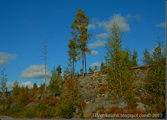 ötökät ikkunssa haukijärvi keloja 080