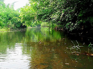 Nam Sai Lake