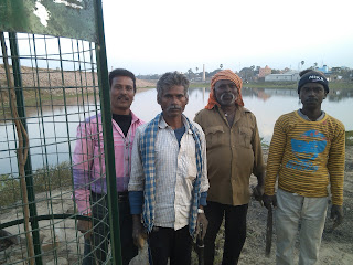 namami-gange-tree-planting-patna