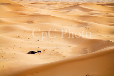 Erg Chebbi, Sahara Desert