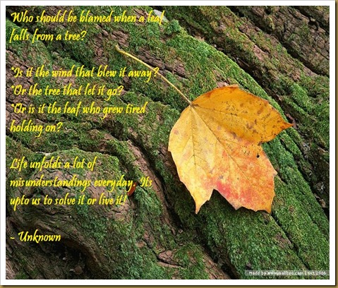 leaf