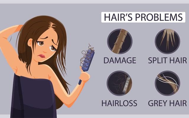 Hair Problems - Hair Loss, Hair Fall, Dandruff, Damaged Hair, Split Hair, Grey Hair Hair Problems - Hair Loss, Hair Fall, Dandruff, Damaged Hair, Split Hair, Grey Hair