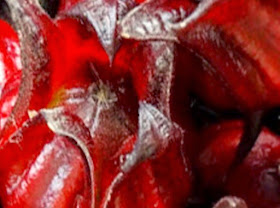 Manfaat Bunga Rosella bagi Kesehatan Tubuh dan Kulit