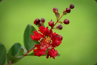 IMG_5041edit_filtered
