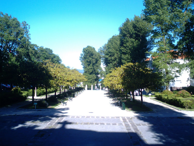 Jardines de San Roque