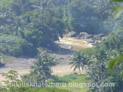 Koleksi Gambar Hasil Fotografer Pemula