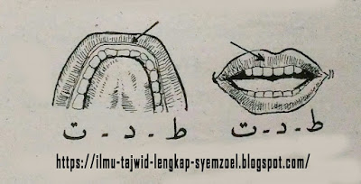 Pembagian Tempat Keluarnya Huruf - Bagian 3 Maudhi'ul Lisan