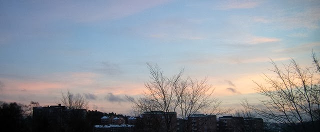 DSCN1379-4