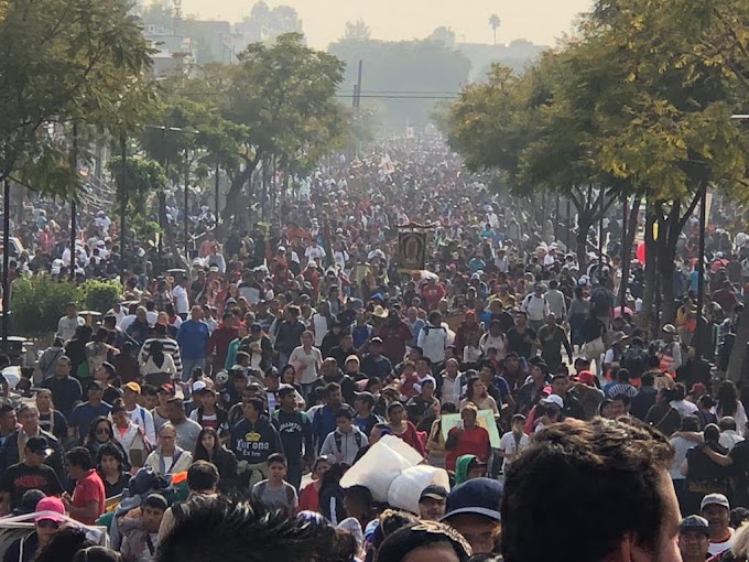 Peregrinos llegan a Basílica de Guadalupe, suman 4 millones