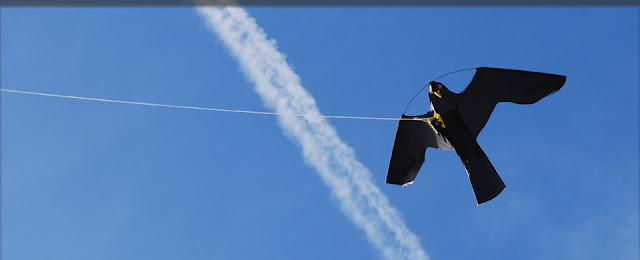 Hawk Kites Bird Scarer
