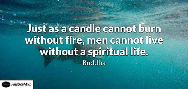 Just as a candle cannot burn without fire, men cannot live without a spiritual life. - Buddha