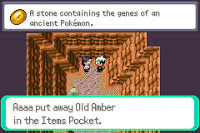 Pokemon R.O.W.E Screenshot 04