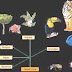 COMPOSICION QUIMICA DE LOS SERES VIVOS