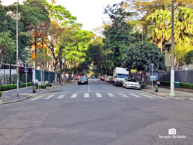 Vista de parte da Avenida Higienópolis - Higienópolis - São Paulo