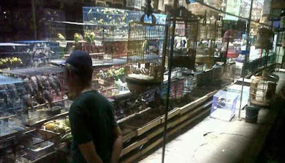 Pasar Burung Pramuka