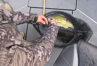 erie smallmouth