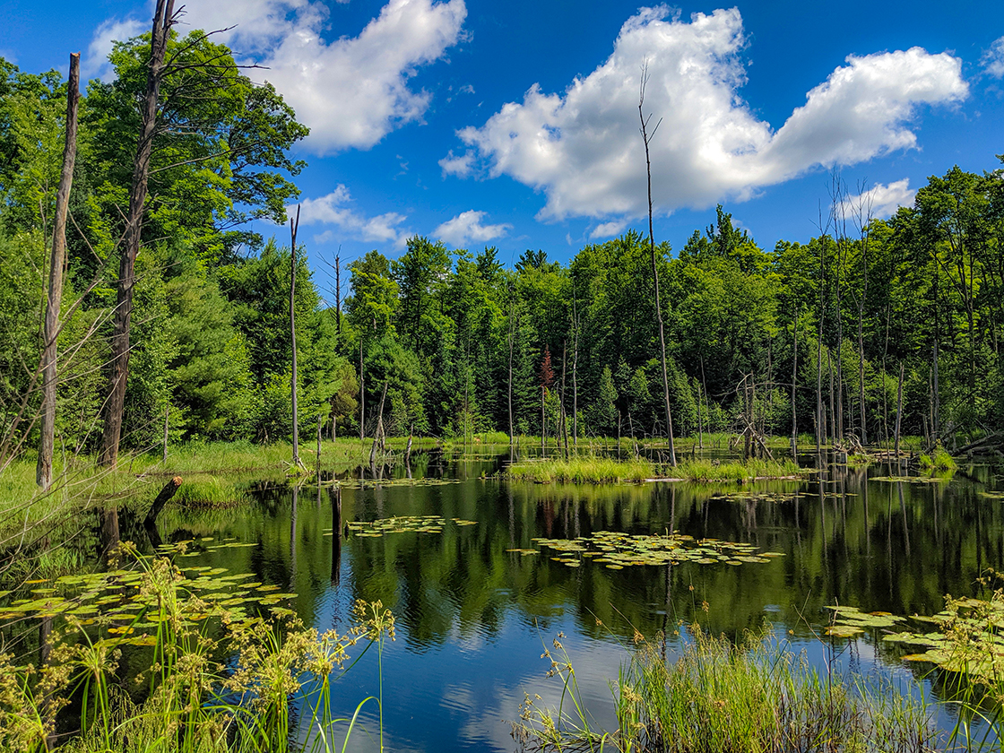 Ice Age Trail Wood Lake Segment