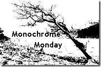 Monochrome Monday