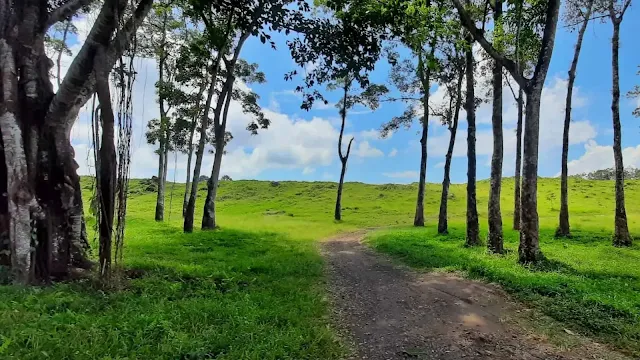 Di balik rimbun pepohonan dan jalur terjal Gunung Merapi-Meranu, berdiri satu kawasan yang nyaris tak bergeming oleh zaman. Ia bukan kota, bukan pula sekadar dusun.