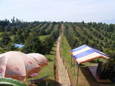 Agro Wisata Ngebruk Patean