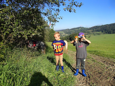 grzyby w sierpniu, grzyby 2016, jadalne koźlarze, grzyby na Orawie, grzybobranie z koniem