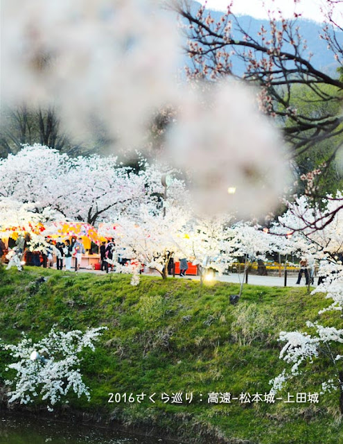 上田城の千本桜まつり