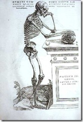 vesalius